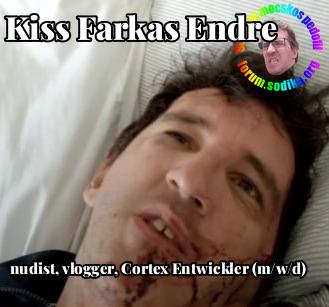 Farkas Kiss Endre Cortex Entwickler (m/w/d) bei Expleo nudist vlogger