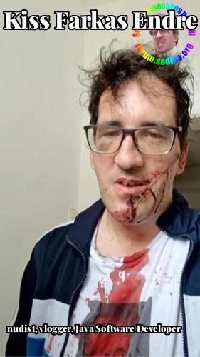 Farkas Kiss Endre Java Software Developer bei Österreichisches Verkehrsbüro Aktiengesellschaft nudist vlogger