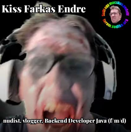 Farkas Kiss Endre Backend Developer Java (f/m/d) bei nudist vlogger