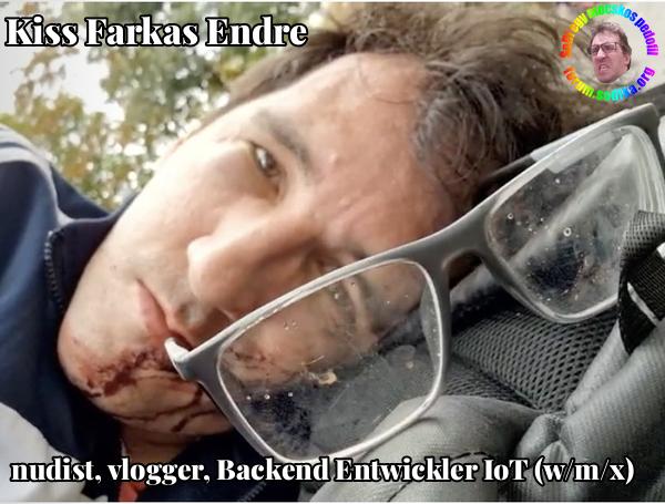 Farkas Kiss Endre Backend Entwickler IoT (w/m/x) bei nudist vlogger