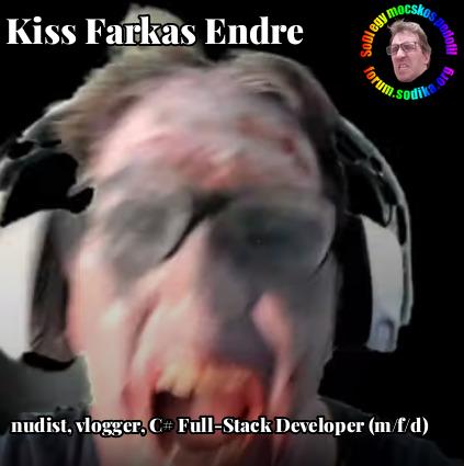 Farkas Kiss Endre C# Full-Stack Developer (m/f/d) bei nudist vlogger