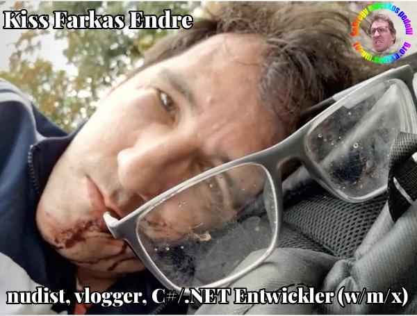 Farkas Kiss Endre C#/.NET Entwickler (w/m/x) bei nudist vlogger