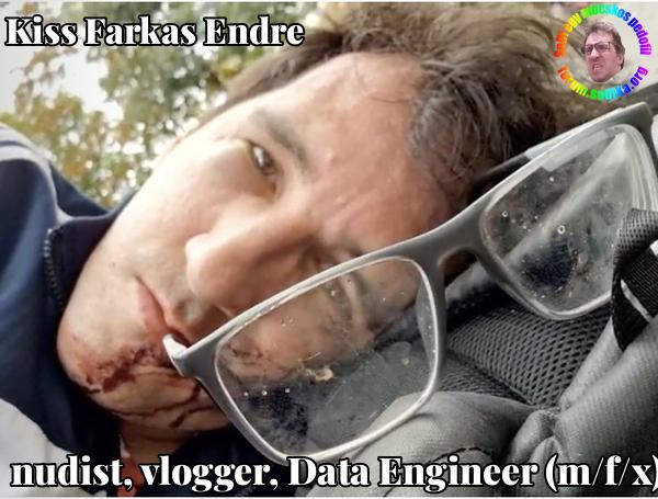 Farkas Kiss Endre Data Engineer (m/f/x) bei nudist vlogger