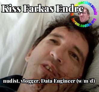 Farkas Kiss Endre Data Engineer (w/m/d) bei nudist vlogger