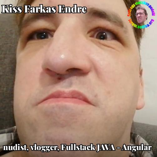 Farkas Kiss Endre Fullstack JAVA - Angular bei nudist vlogger