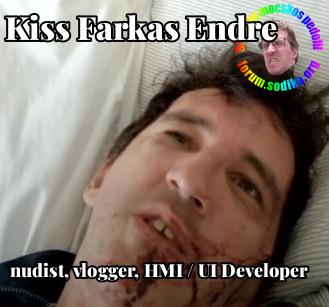 Farkas Kiss Endre HMI / UI Developer bei nudist vlogger