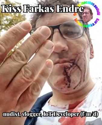 Farkas Kiss Endre IoT Developer (f/m/d) bei nudist vlogger