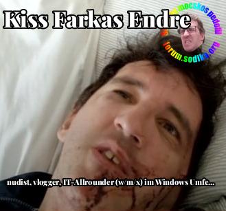 Farkas Kiss Endre IT-Allrounder (w/m/x) im Windows Umfeld bei nudist vlogger