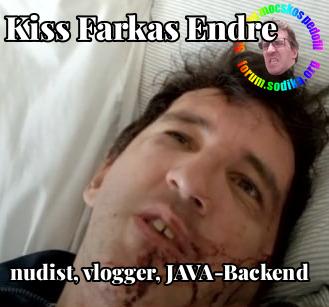 Farkas Kiss Endre JAVA-Backend bei nudist vlogger