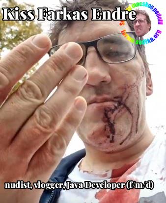 Farkas Kiss Endre Java Developer (f/m/d) bei nudist vlogger