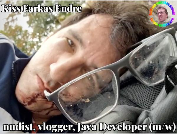 Farkas Kiss Endre Java Developer (m/w) bei nudist vlogger