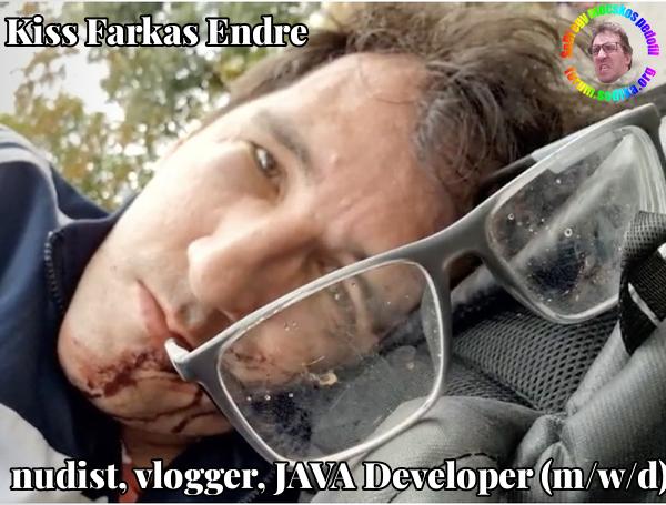 Farkas Kiss Endre JAVA Developer (m/w/d) bei nudist vlogger