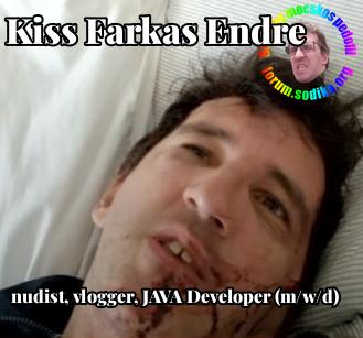 Farkas Kiss Endre JAVA Developer (m/w/d) bei nudist vlogger