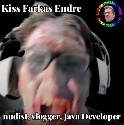 Farkas Kiss Endre Java Developer bei nudist vlogger