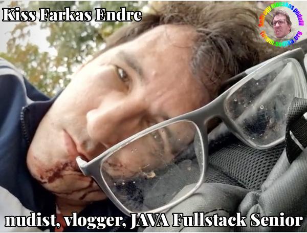 Farkas Kiss Endre JAVA Fullstack Senior bei nudist vlogger