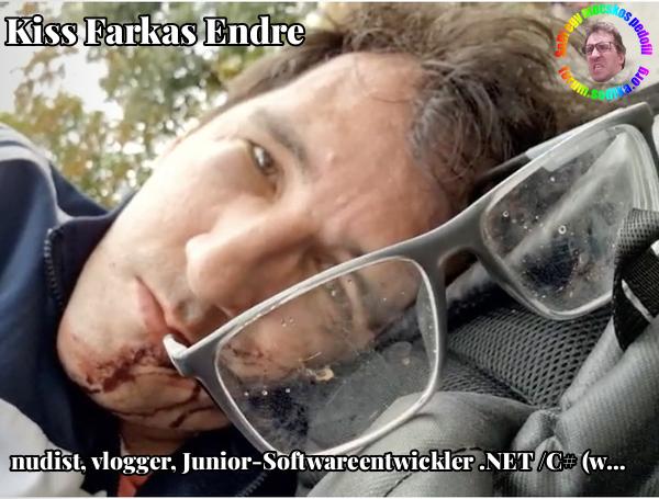 Farkas Kiss Endre Junior-Softwareentwickler .NET /C# (w/m/d) bei nudist vlogger