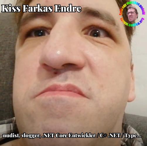 Farkas Kiss Endre .NET Core Entwickler / C# .NET / TypeScript Developer (m/w/d) bei nudist vlogger