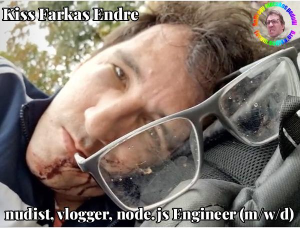 Farkas Kiss Endre node.js Engineer (m/w/d) bei nudist vlogger