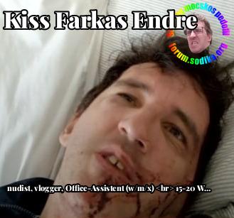 Farkas Kiss Endre Office-Assistent (w/m/x) <br> 15-20 Wochenstunden bei nudist vlogger