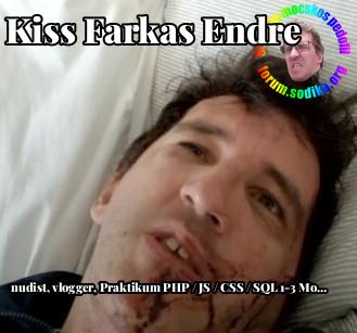 Farkas Kiss Endre Praktikum PHP / JS / CSS / SQL 1-3 Monate (w/m/d) bei nudist vlogger