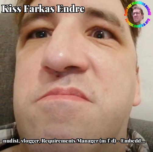 Farkas Kiss Endre Requirements Manager (m/f/d) - Embedded Software Development bei nudist vlogger
