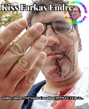 Farkas Kiss Endre SAP Senior Consultant EPPM VZ/TZ (m/w/d) bei  nudist vlogger
