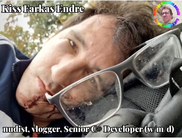 Farkas Kiss Endre Senior C# Developer (w/m/d) bei nudist vlogger