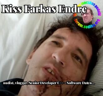 Farkas Kiss Endre Senior Developer C++ - Software Daten Service GmbH bei  nudist vlogger