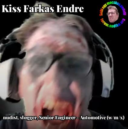 Farkas Kiss Endre Senior Engineer - Automotive (w/m/x) bei nudist vlogger