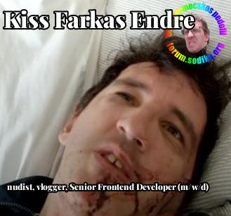 Farkas Kiss Endre Senior Frontend Developer (m/w/d) bei nudist vlogger