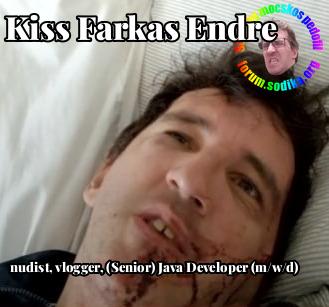 Farkas Kiss Endre (Senior) Java Developer (m/w/d) bei nudist vlogger