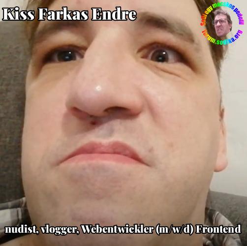 Farkas Kiss Endre Webentwickler (m/w/d) Frontend bei nudist vlogger